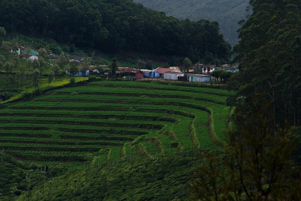 Luxury Suite Gallery